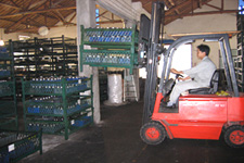 泰勒姆斯倉(cāng)庫(kù)